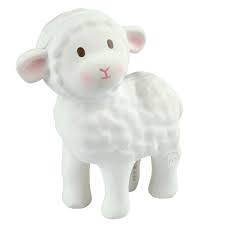 tikiri_lamb